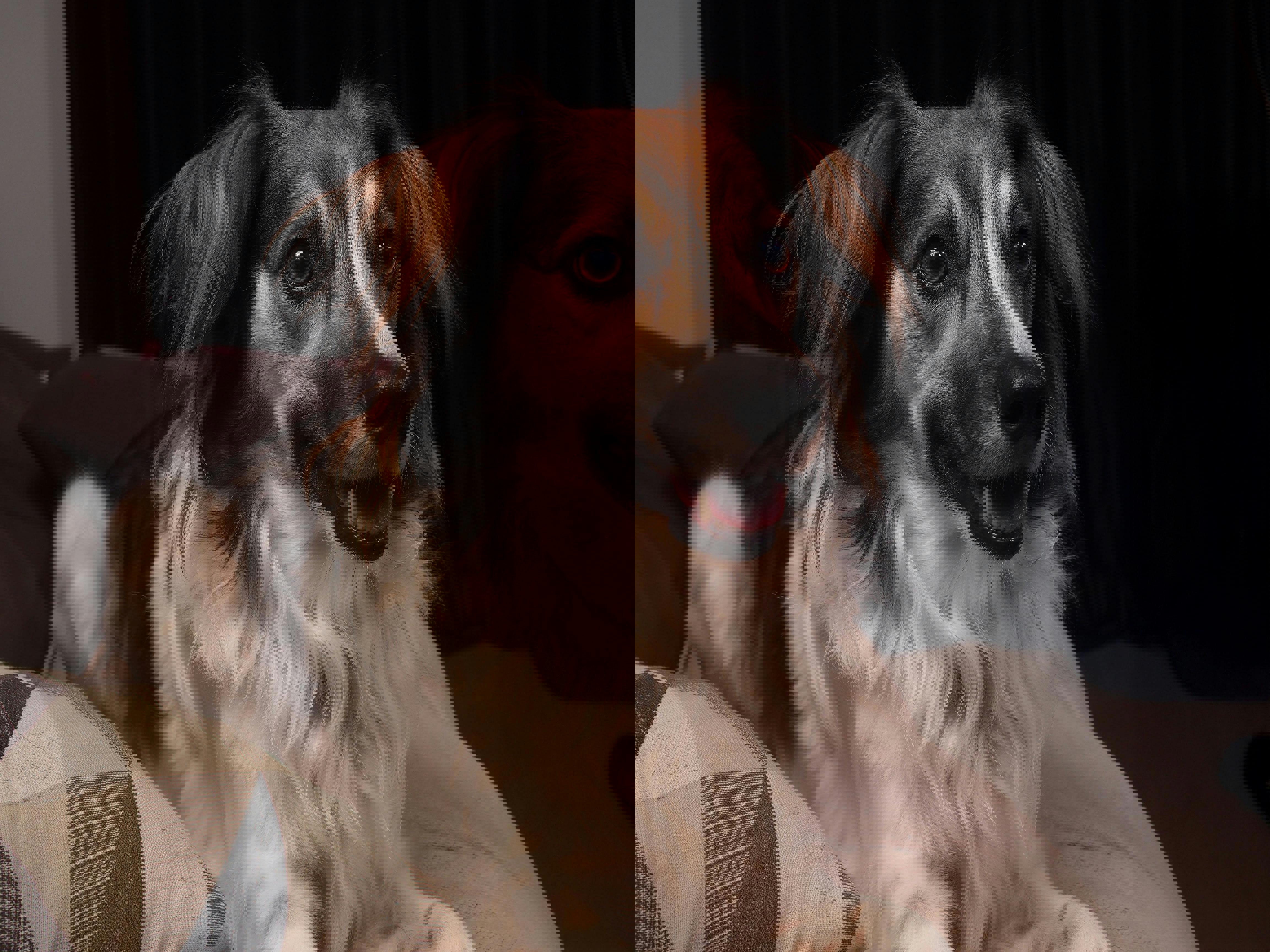 romantic couple in Ebeltoft