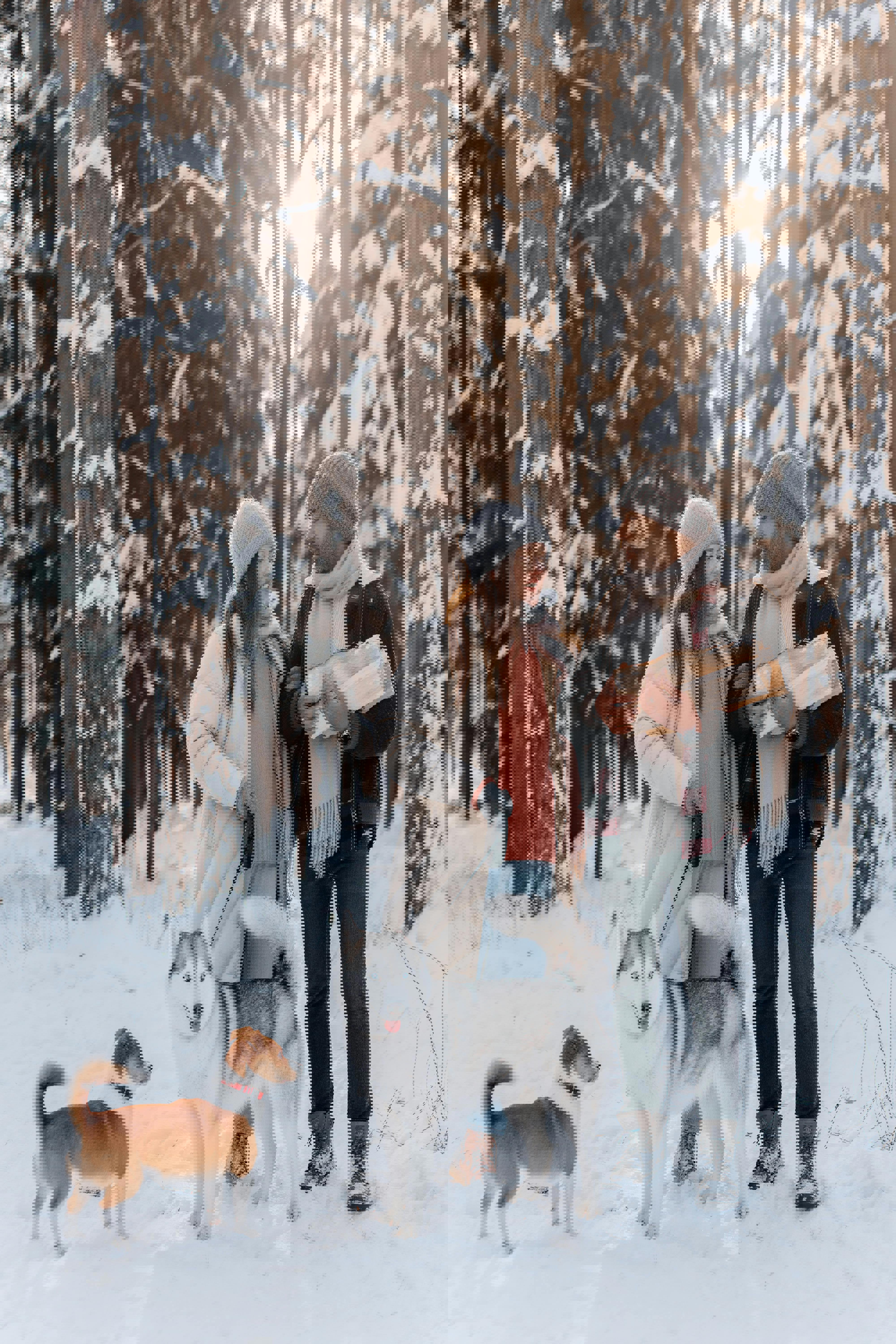 Dating når du søger en, der deler din kærlighed til dyr