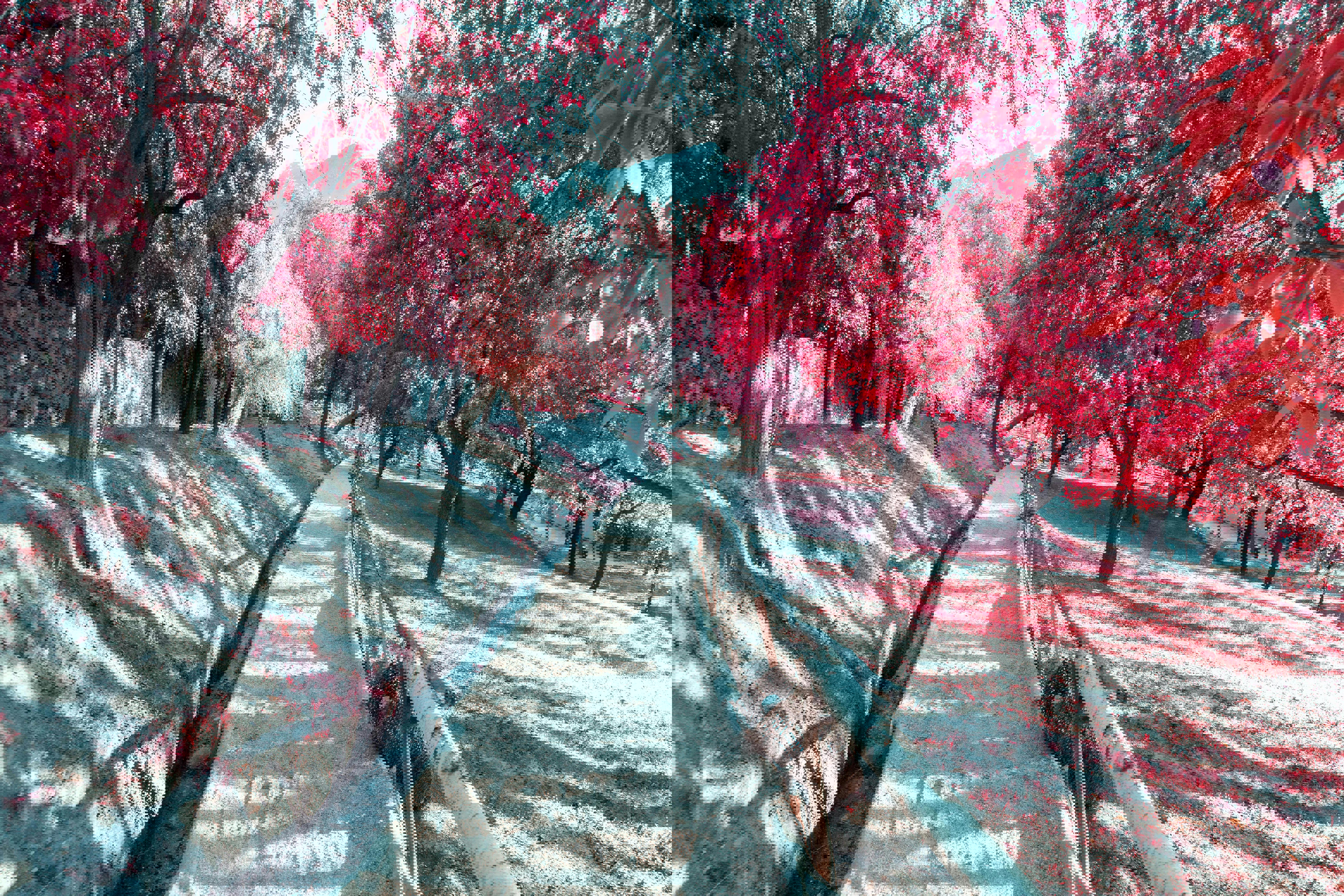 Find kærligheden i Nyborg – de bedste steder for romantik