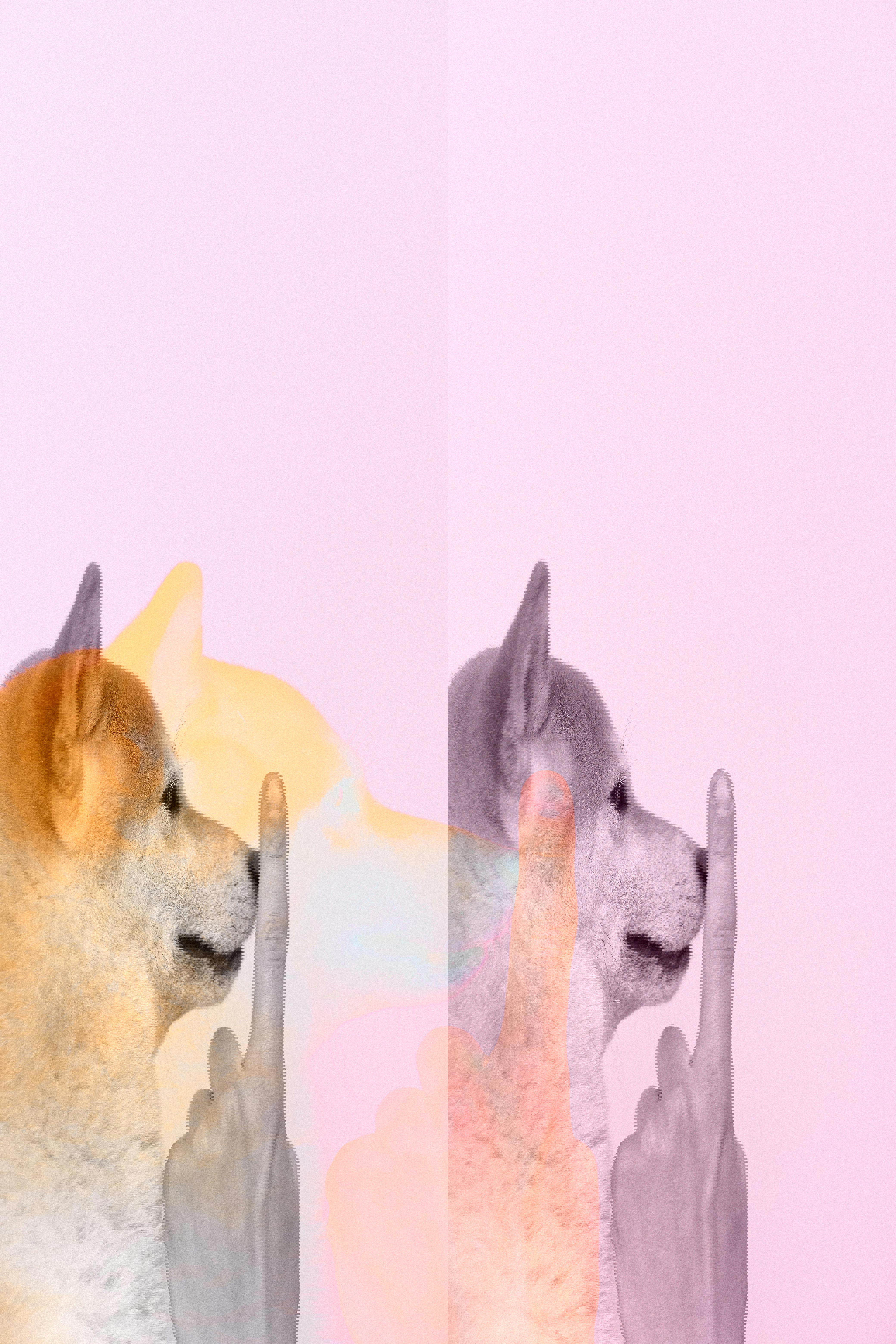 Hvordan bruger du humor i din datingprofil?