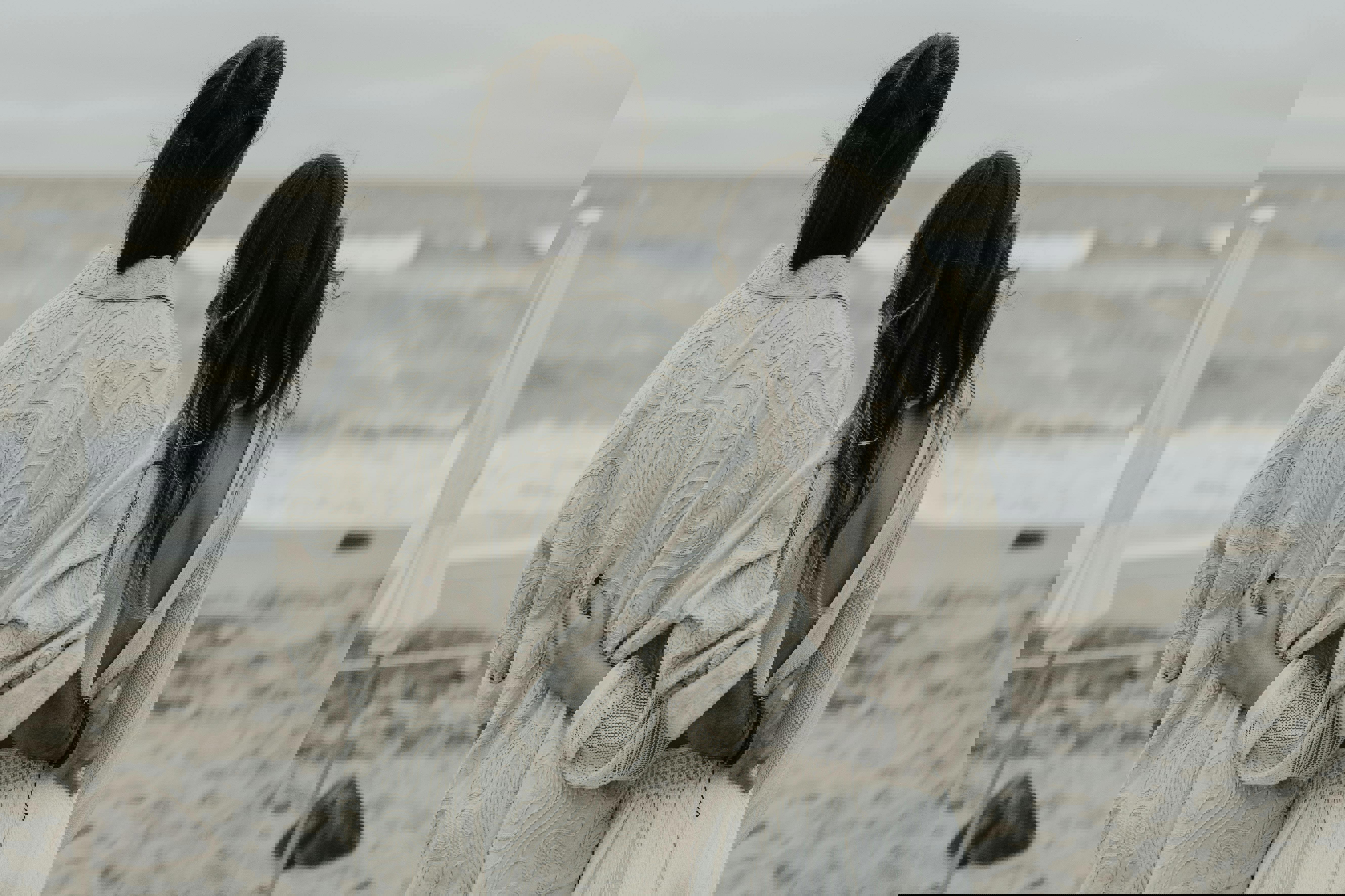 Find en romantisk oplevelse i Slagelse