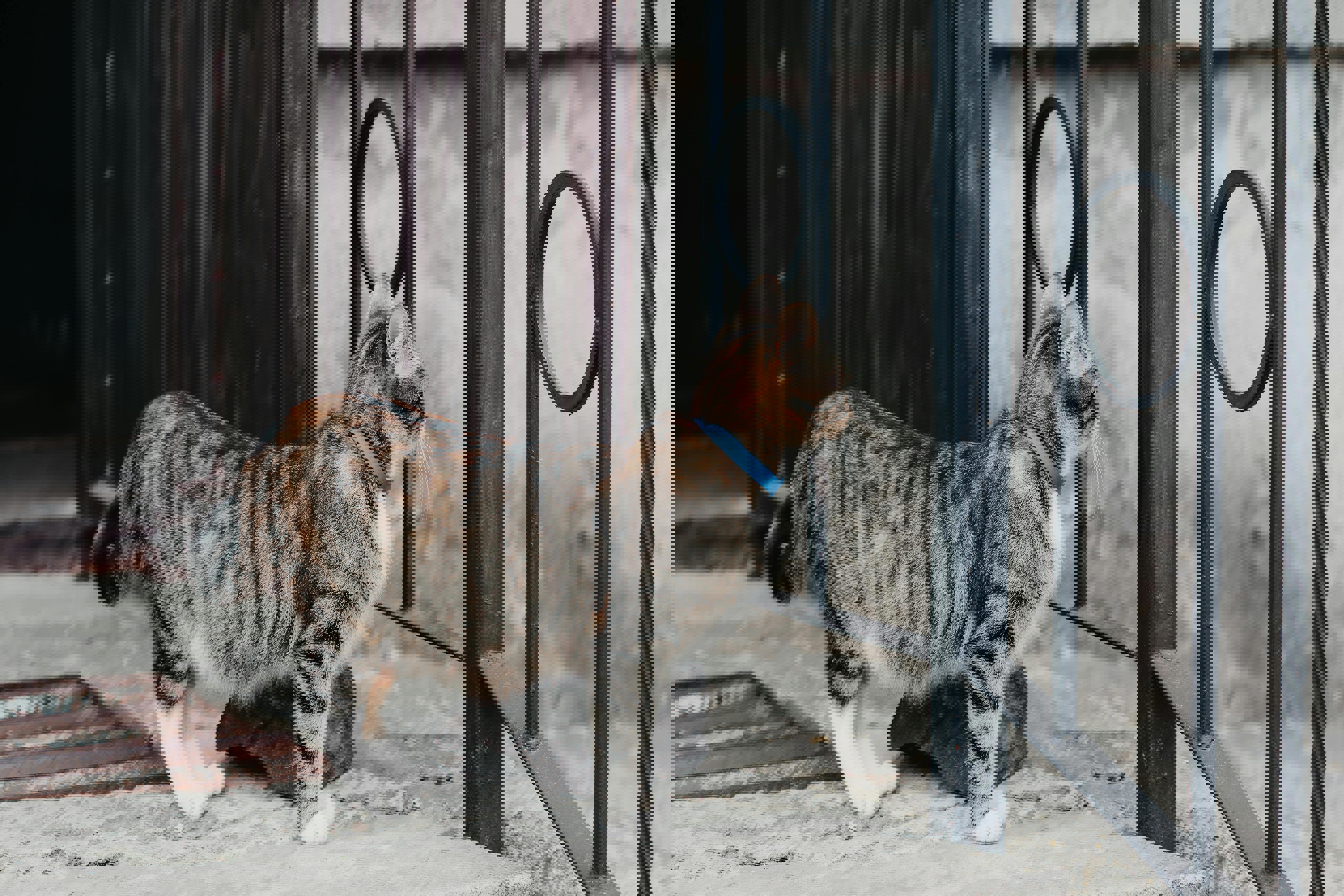 Single i Vordingborg? Sådan navigerer du datinglivet i byen